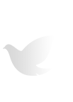 V66.COM·(中国区)官方网站